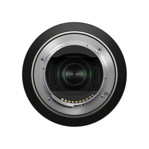 Sony E Mount E 55 210mm F4.5 6.3 OSS APS-C Lens (SEL55210) | Telephoto Zoom | Nature & Sports Photography, Black